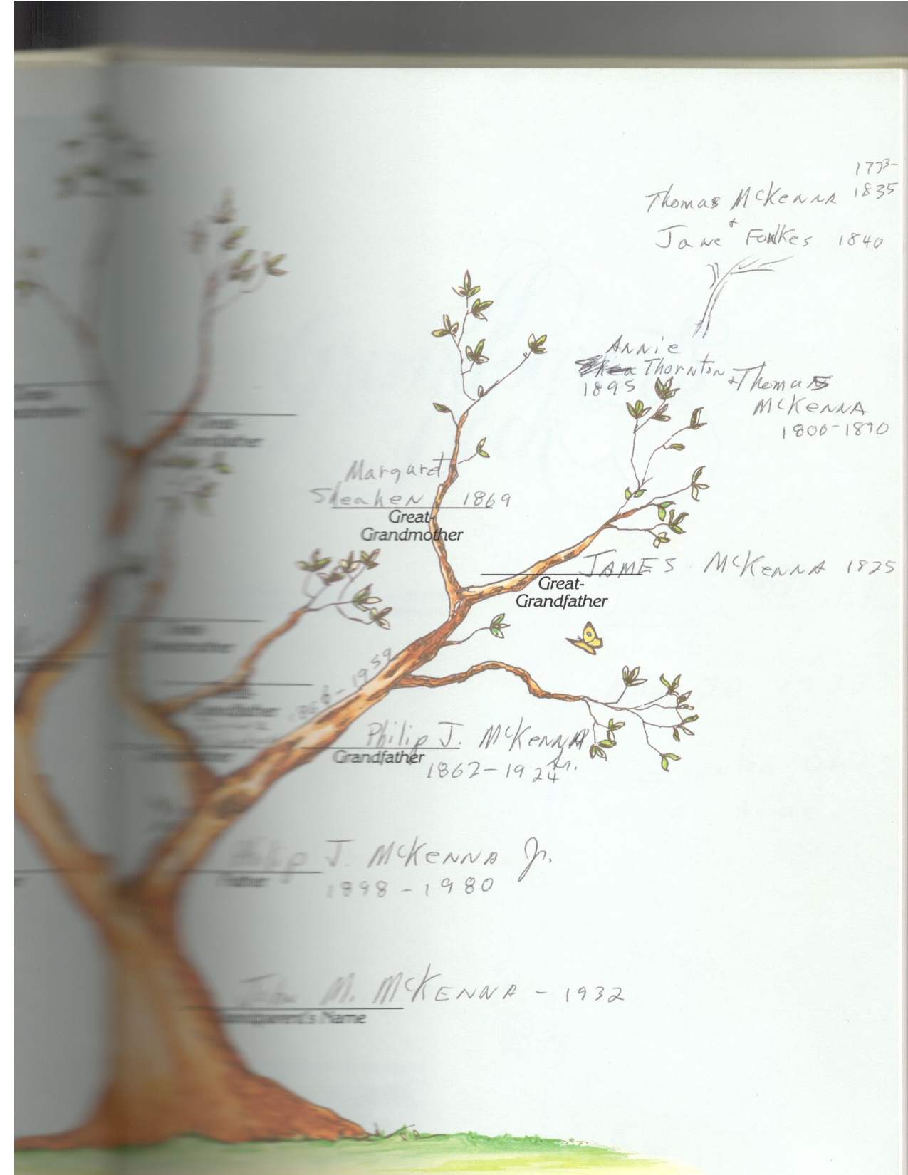 Hand-drawn paternal family tree from page 3 of the grandfather book showing the McKenna paternal line back to Thomas McKenna 1772 and Jane Foulkes 1840 with each generation between.