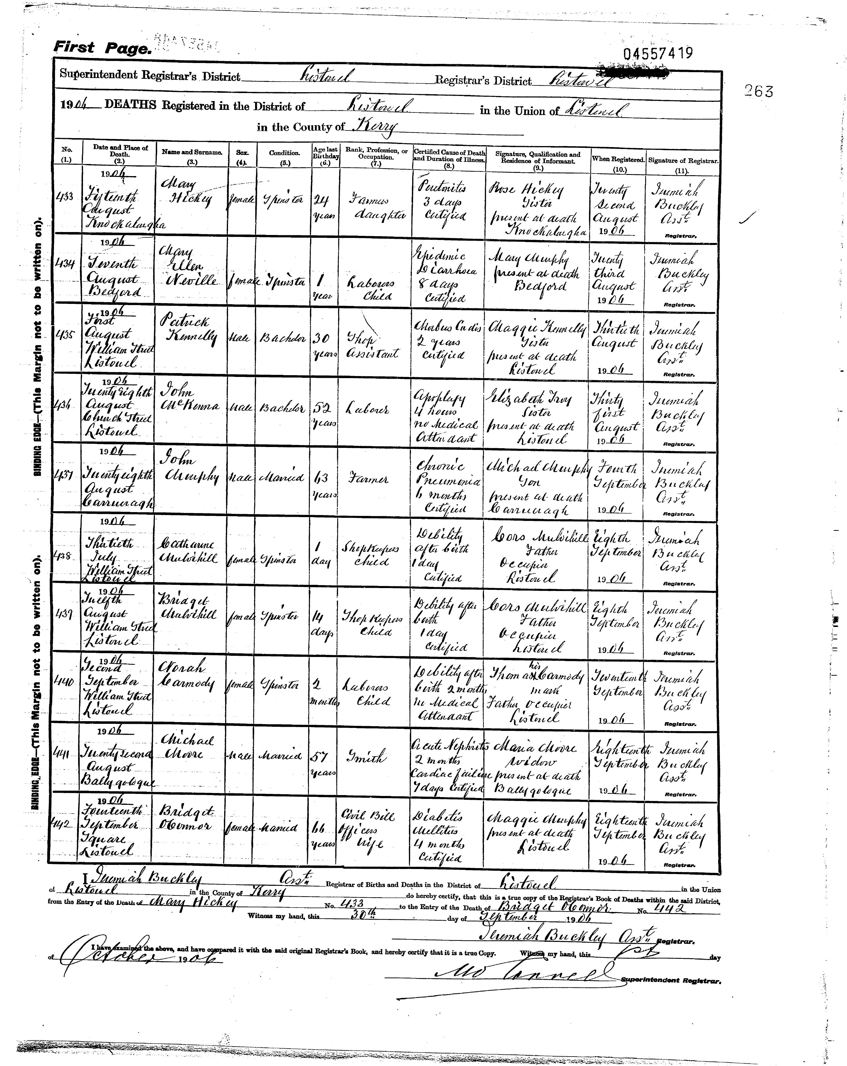 Civil-registration death register page 263 of the Listowel Superintendent Registrar's District for 1906. Entry No. 436 records the death of John McKenna of Church Street, Listowel, on 28 August 1906: bachelor, age 52, laborer, cause of death apoplexy 4 hours, no medical attendant. Informant Elizabeth Troy, sister, present at death.